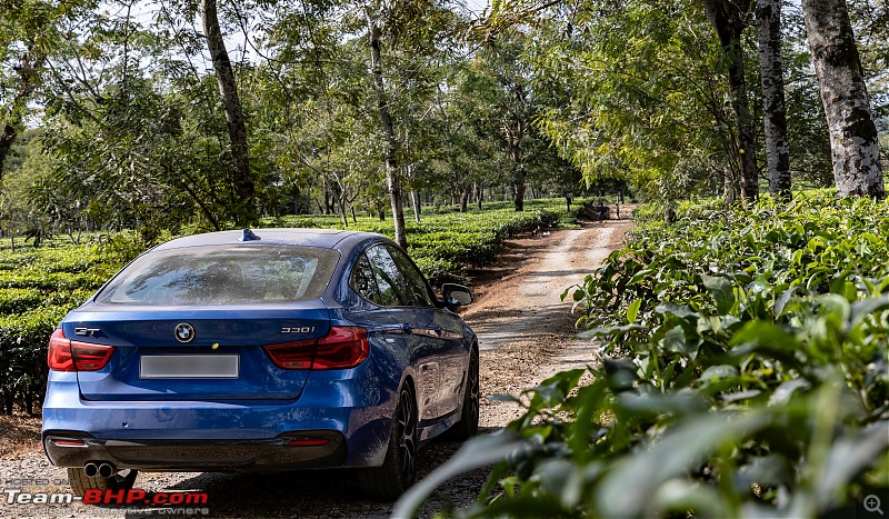 A Road Trip to Assam, Arunachal and Meghalaya in a BMW 330i GT-gt-tea-garden-1.jpg
