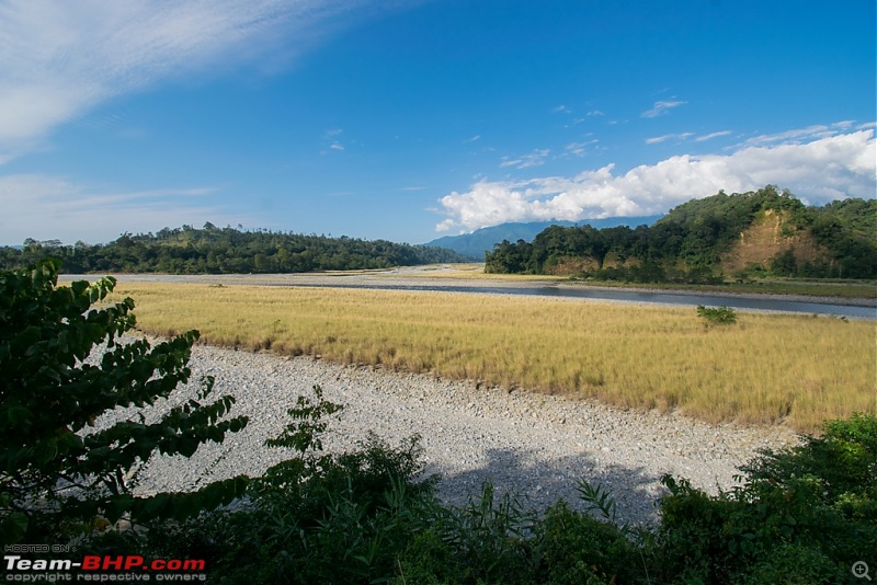 Namdapha Tiger Reserve, Arunachal Pradesh-dsc_0281.jpg