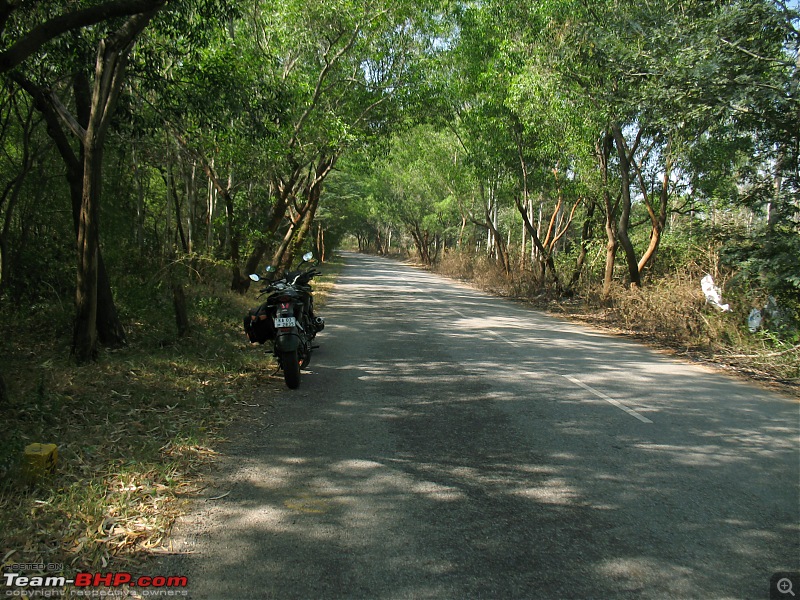 A toast to easing of weekend restrictions - Road trip to Melukote-img_1017.jpg