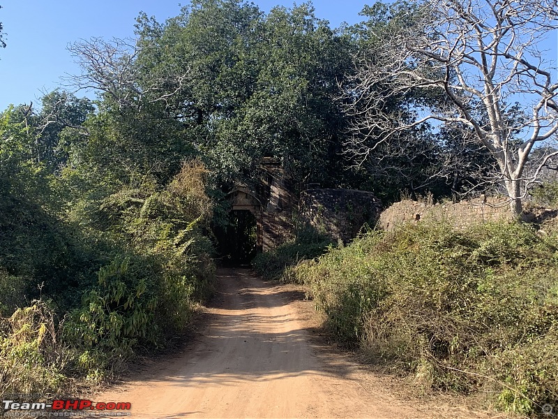 Enchanting Ranthambhore-883b8a077ab94040bfd4cb806cb4ff34.jpeg