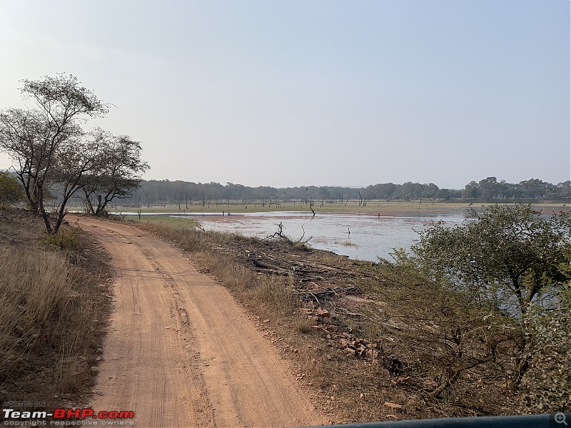 Enchanting Ranthambhore-img0414.jpg