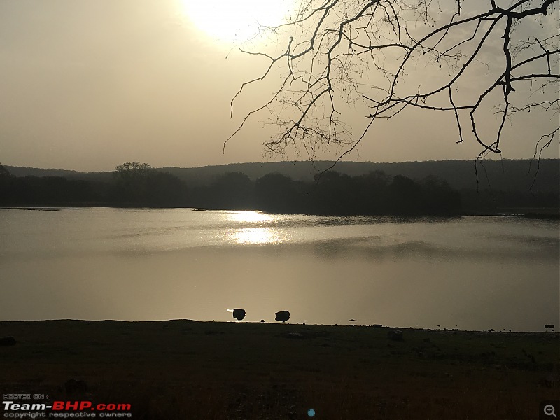 Enchanting Ranthambhore-ran.jpg