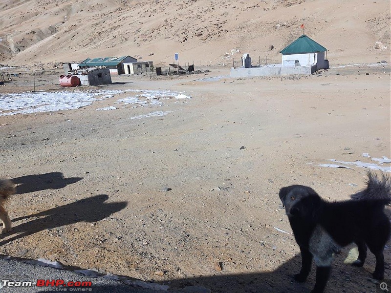 Ladakhi Winter in an Automatic Petrol Thar-20220120_135835.jpg