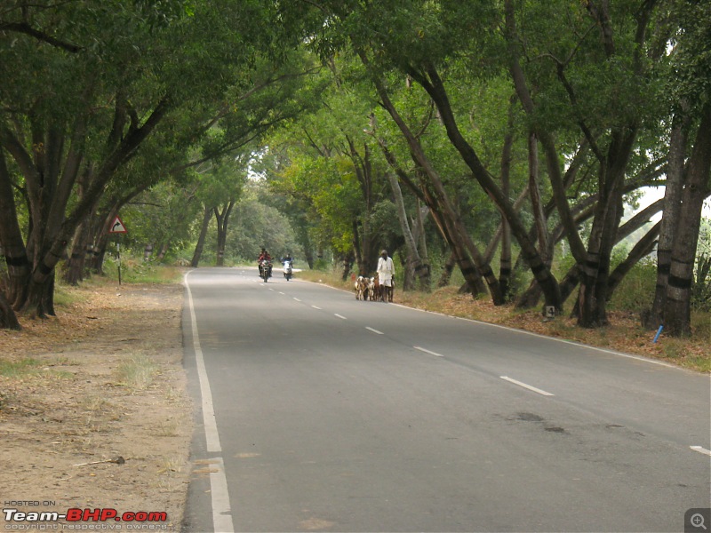 Roads without borders | The inconspicuously delightful roads between KA-TN-img_1101.jpg