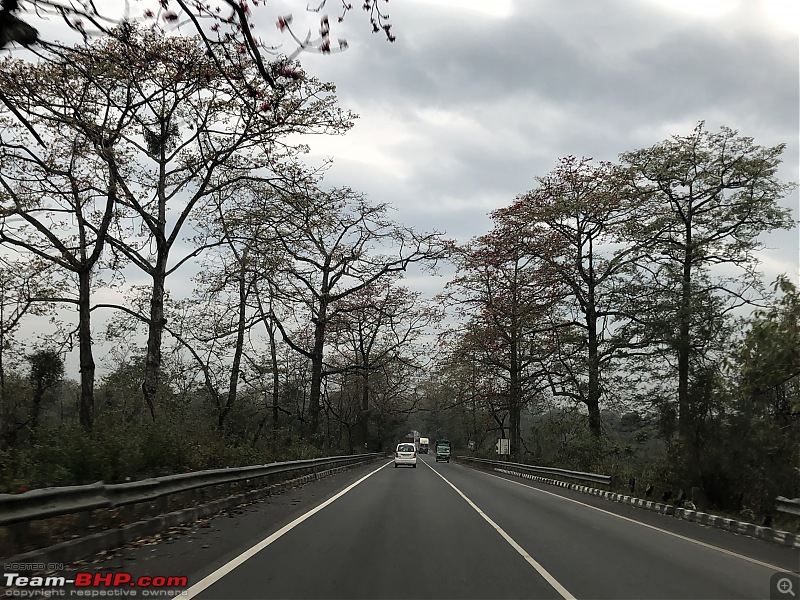 Drive from Calcutta to Roing - Eastern Arunachal Pradesh-62f776553e73477893c4d1d10fb4c014.jpeg