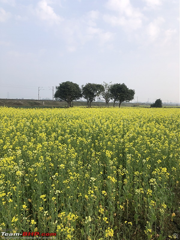 Drive from Calcutta to Roing - Eastern Arunachal Pradesh-e9cb79c97a834f59af4c5dbce891fd3c.jpeg