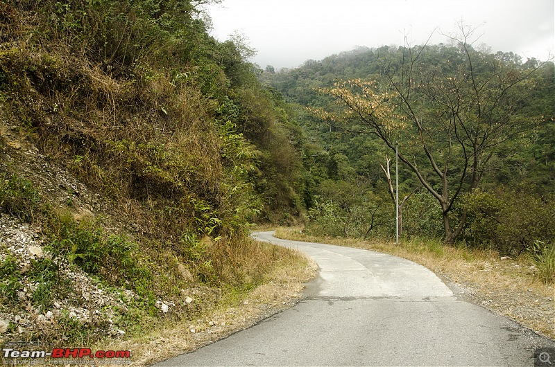 A day long drive in Arunachal Pradesh-enroute-tezu-1.jpg