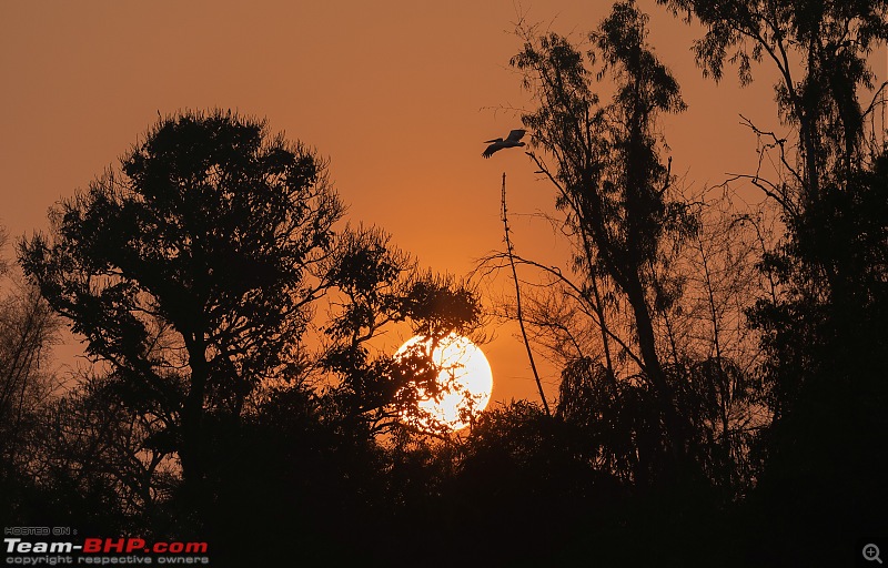 Weekend drive to Ranganathittu Bird Sanctuary and Lalitha Mahal Palace Hotel-sunrise-1.jpg
