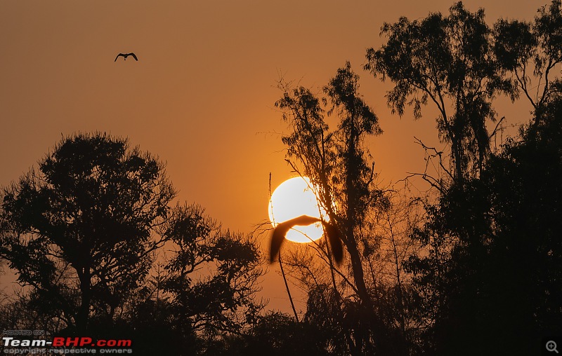 Weekend drive to Ranganathittu Bird Sanctuary and Lalitha Mahal Palace Hotel-sunrise-2.jpg