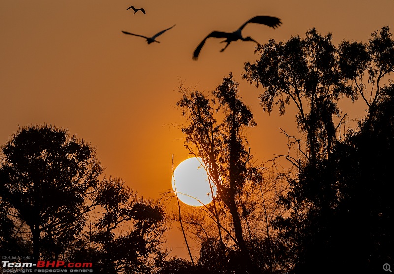 Weekend drive to Ranganathittu Bird Sanctuary and Lalitha Mahal Palace Hotel-sunrise-3.jpg