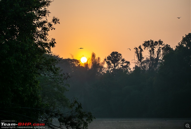 Weekend drive to Ranganathittu Bird Sanctuary and Lalitha Mahal Palace Hotel-dsc_8565.jpg