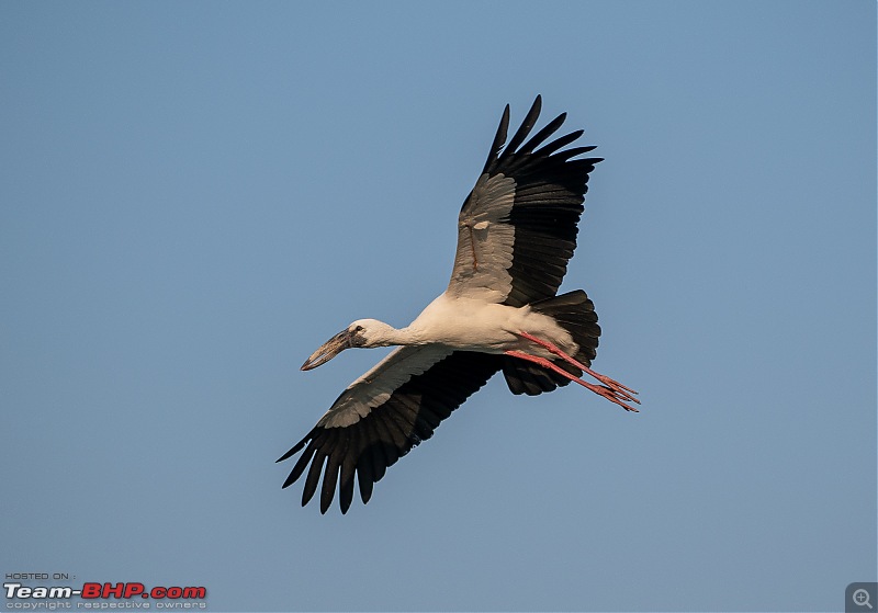 Weekend drive to Ranganathittu Bird Sanctuary and Lalitha Mahal Palace Hotel-dsc_9045.jpg