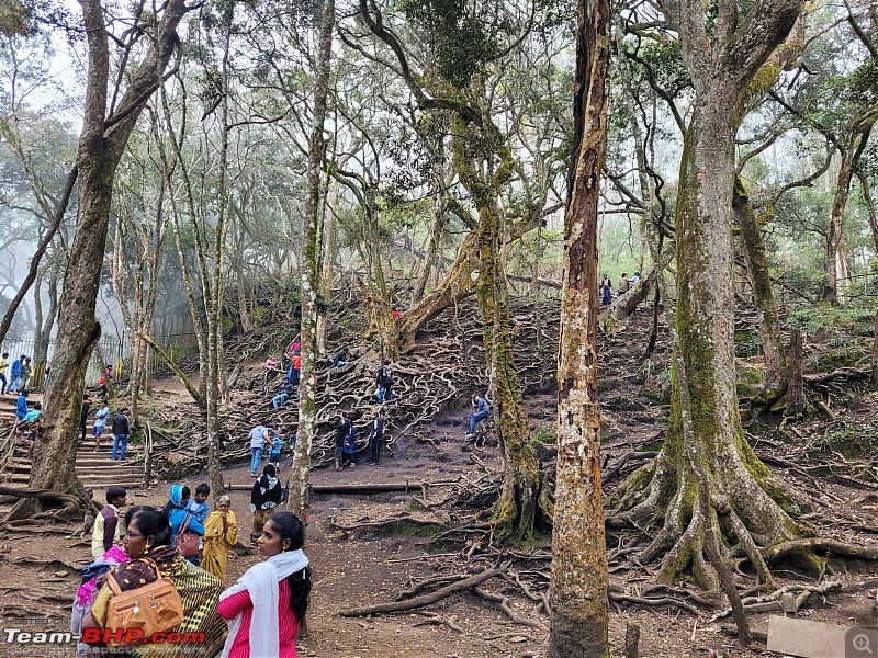 Coimbatore Diaries: Weekend trip to Kodaikanal, the Princess of Hill stations-20220219_154928.jpg