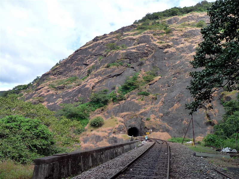 'Xing'ing around ! - Trainspotting at Dudhsagar.-036.jpg