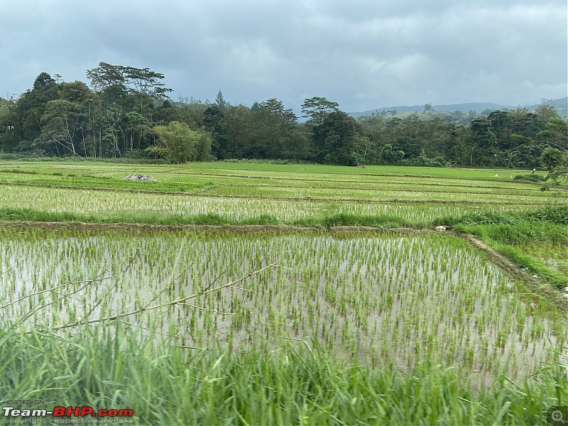 Tales from Sri Lanka | Of seas, forts and the holy hills!-img_7286.jpeg