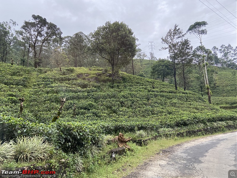 Tales from Sri Lanka | Of seas, forts and the holy hills!-img_7292.jpeg