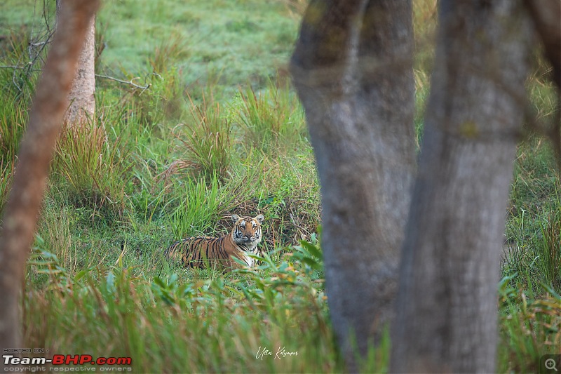 Nagarahole & Kabini Weekend Rendezvous | Tigers & Wildlife-sub-adult.jpg