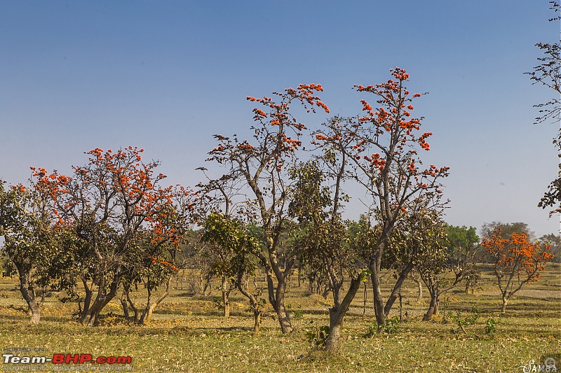 West Bengal - A treasure for tourists-img_0264.jpg