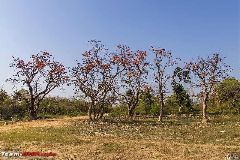 West Bengal - A treasure for tourists-img_0281.jpg