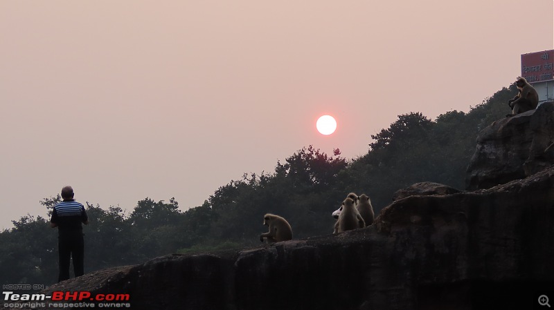 Zoomcar’ing in ‘Golden Triangle’ of Odisha, the soul of Incredible India-pic24-sharing-joy-sunset-our-simian-friends.jpg