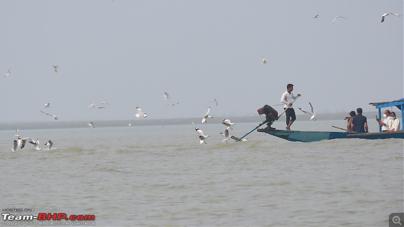 Zoomcaring in Golden Triangle of Odisha, the soul of Incredible India-pic16-chilka1.jpg