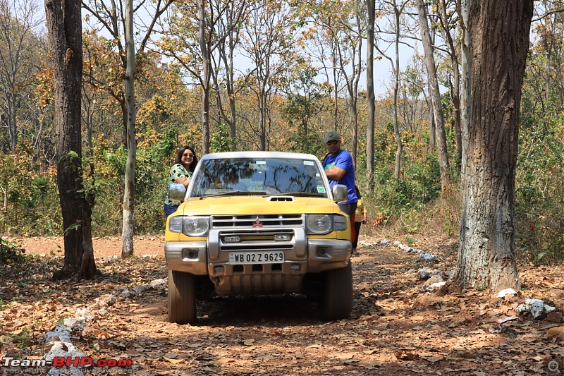 Convoy of Cars and Holi in Netarhat-a20813b463bb4752851fd5a5076e313c.jpeg