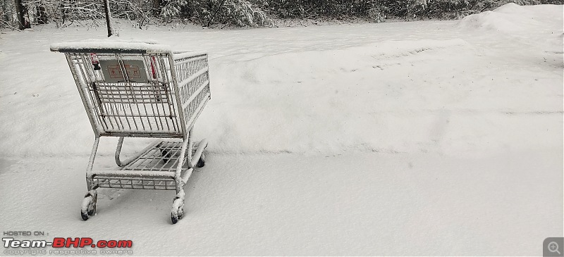 Boston, USA: In search of snow!-shoppingcart.jpeg