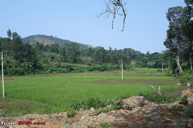 Bangalore-> Kolli hills-> Bangalore-dsc04063.jpg