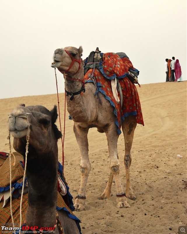 A trip to the Golden City – Jaisalmer!-dsc_0219.jpg