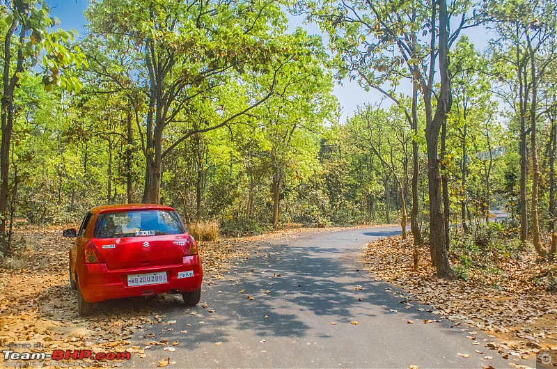 West Bengal - A treasure for tourists-_dsc3308.jpg