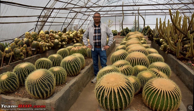 Kolkata to Kalimpong to Gurudongmar Lake-15_cactus.jpg