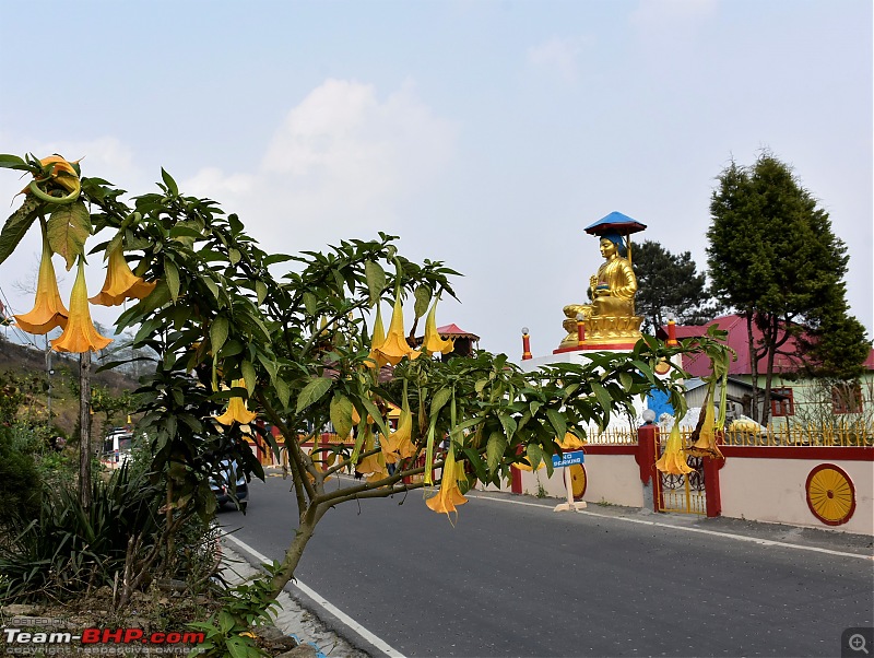 Kolkata to Kalimpong to Gurudongmar Lake-27_buddha.jpg