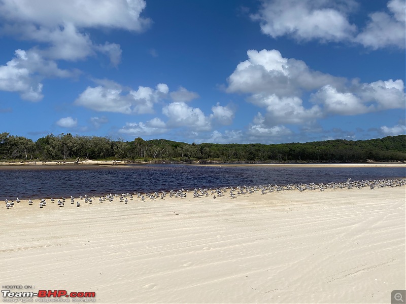 The perfect island getaway in a 4WD | Moreton Island | Australia-img_5699.jpg