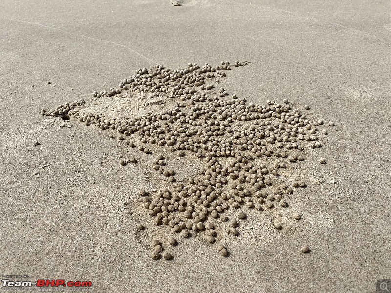 The perfect island getaway in a 4WD | Moreton Island | Australia-img_5676.jpg