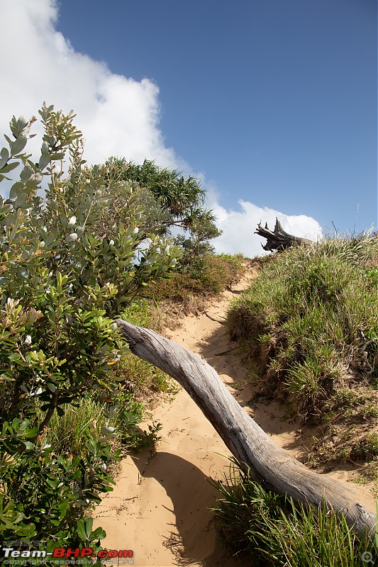 The perfect island getaway in a 4WD | Moreton Island | Australia-img_8621.jpg