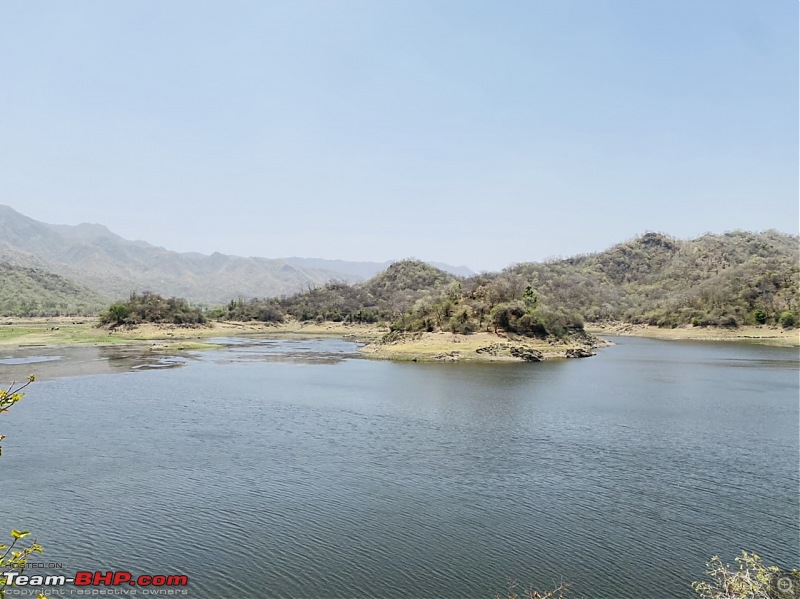 3 days in Jawai and Bera | The less explored Jungle abode in Rajasthan-ad9685ec15e345bcaa251d2267d00861.jpeg