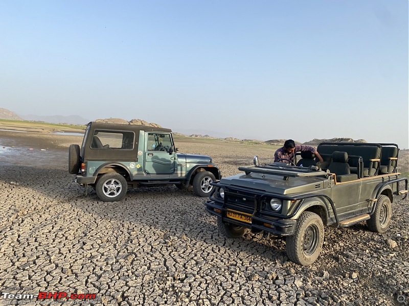 3 days in Jawai and Bera | The less explored Jungle abode in Rajasthan-585168219e644f8c8be8836770cea259.jpeg