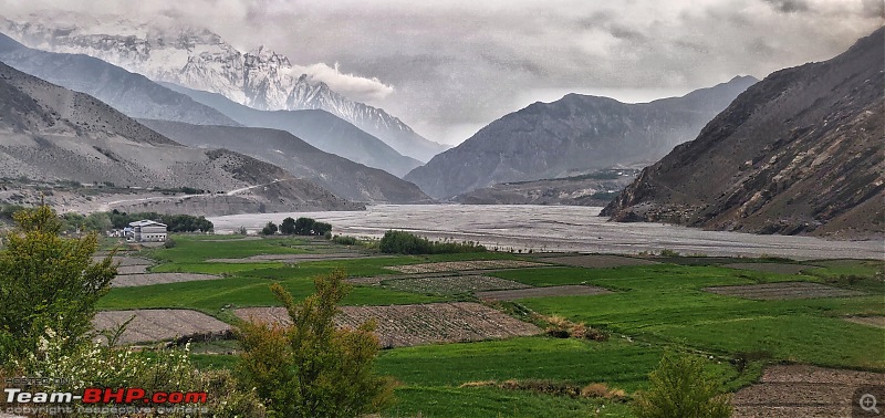 8 SUVs | Road-trip to "Forbidden Kingdom" | Upper Mustang Nepal-apple-orchard-.jpeg
