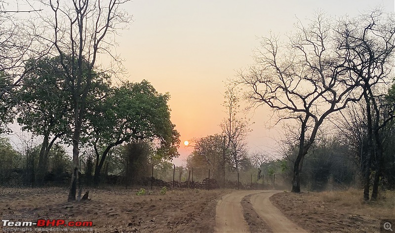 Bandhavgarh Tiger Reserve: Photologue-sunrise.jpg