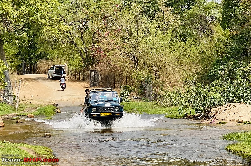 Bandhavgarh Tiger Reserve: Photologue-waterwading.jpg