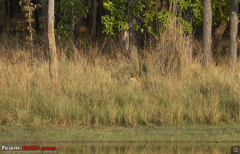 Bandhavgarh Tiger Reserve: Photologue-hidden.jpg