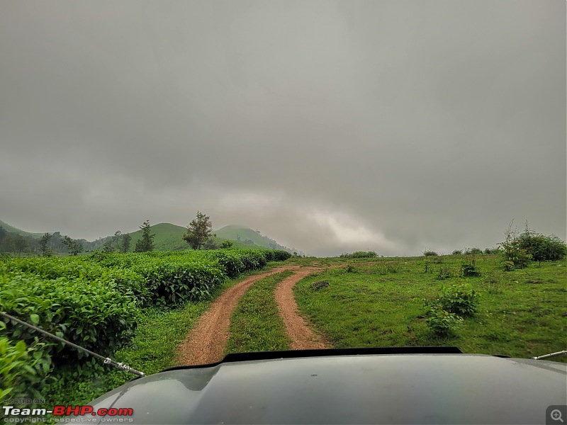 A Car, a Thar and a Tea Estate | Our weekend drive to Kadamane Tea Estate, KA-20220514_165308.jpg