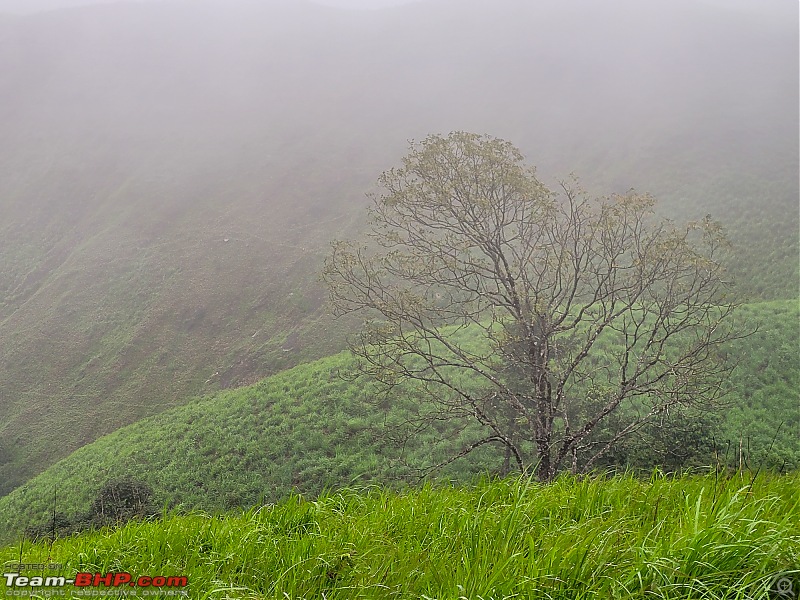 A Car, a Thar and a Tea Estate | Our weekend drive to Kadamane Tea Estate, KA-20220514_173547.jpg