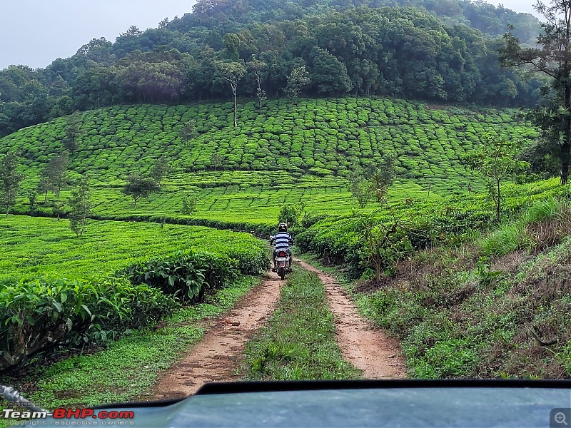 A Car, a Thar and a Tea Estate | Our weekend drive to Kadamane Tea Estate, KA-20220515_072508.jpg