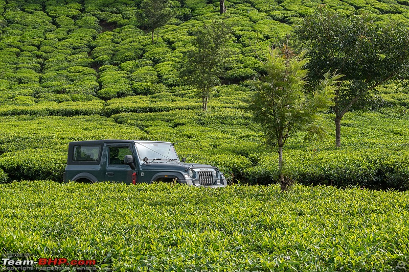 A Car, a Thar and a Tea Estate | Our weekend drive to Kadamane Tea Estate, KA-dsc_1711.jpg