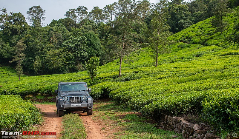 A Car, a Thar and a Tea Estate | Our weekend drive to Kadamane Tea Estate, KA-dsc_1725.jpg