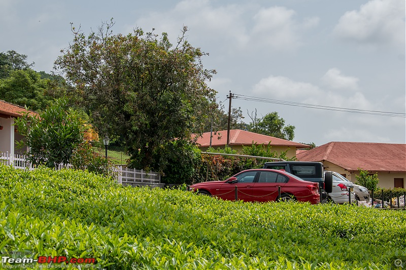 A Car, a Thar and a Tea Estate | Our weekend drive to Kadamane Tea Estate, KA-dsc_17382.jpg