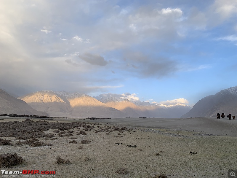 Enchanting Ladakh in April | A Photologue-6_17_dunes.jpg