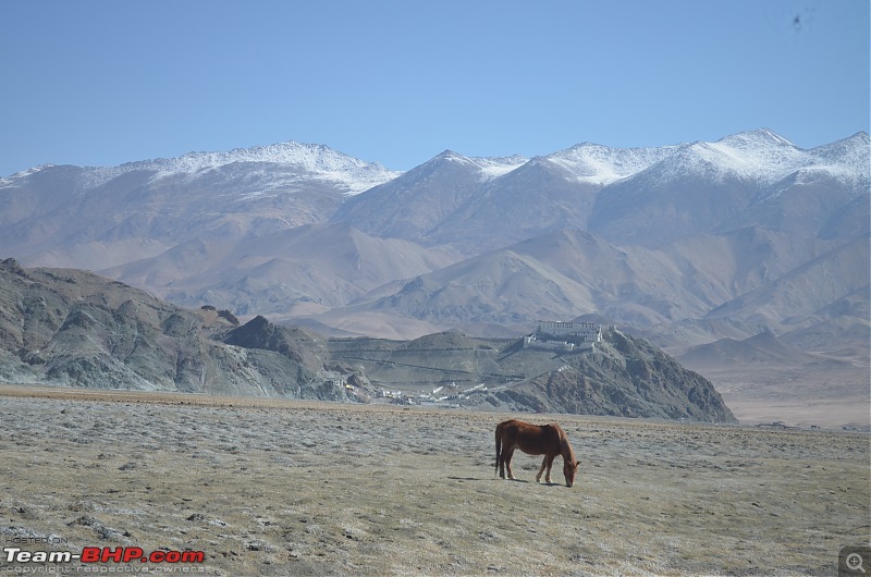 Enchanting Ladakh in April | A Photologue-9_1.jpg