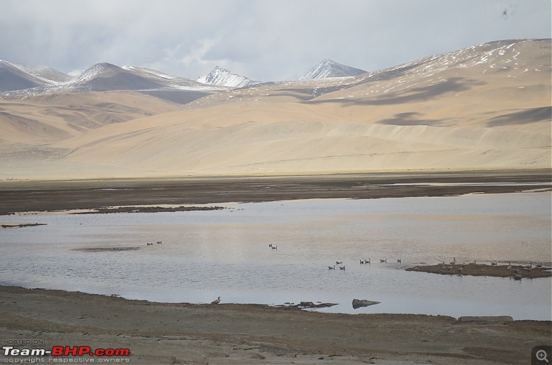 Enchanting Ladakh in April | A Photologue-9_27.jpg